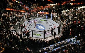 一名戰士在競技場燈光下於UFC八角籠中央慶祝勝利。