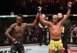 兩名MMA拳手在八角籠內高舉雙臂慶祝勝利，觀眾歡呼。