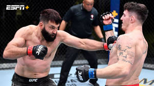 UFC比賽中，兩名拳手在八角籠內互相出拳。
