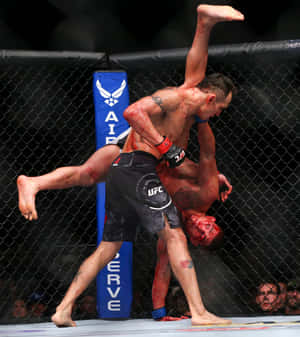 八角籠內一場血腥MMA比賽中的兩名拳手。 — 摔角 GIF 壁紙
