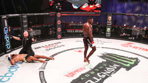 MMA拳手在八角籠中勝利地站在倒下的對手之上。 — 電腦 GIF 壁紙