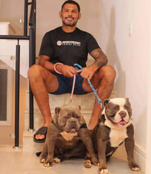 男人坐在樓梯上，牽著兩隻鬥牛犬。 — 狗 壁紙