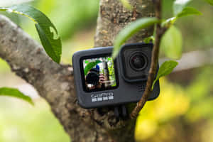 安裝在樹枝上的GoPro相機顯示一個人拿著相機的倒影。 — MacBook Air 13 壁紙