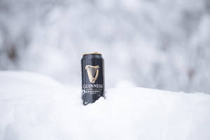 雪中嘅健力士啤酒罐