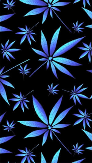 黑色背景圖案上發光的藍色大麻葉片。