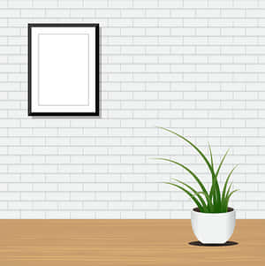 室內植物白色牆面裝飾