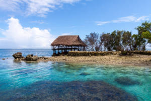 岩石海岸上的熱帶小屋，清澈碧綠的海水和藍天