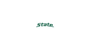 白色背景上顯示綠色的風格文字 State
