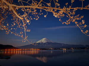 櫻花枝條在夜晚框住富士山，城市燈光倒映在水面上。