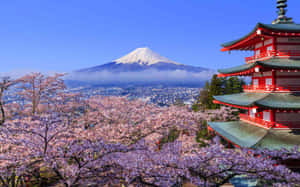 紅色寶塔被櫻花環繞，富士山在背景中。