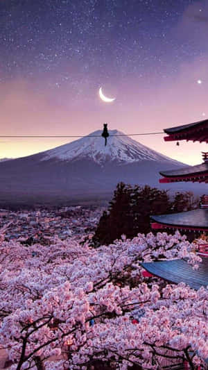 櫻花在富士山下盛開，黃昏天空中有彎月和星星。