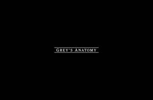 黑色背景，白色文字顯示 Grey's Anatomy，居中於水平線之間。