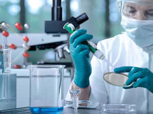 穿著實驗袍和口罩的科學家使用移液器將液體轉移到培養皿中。