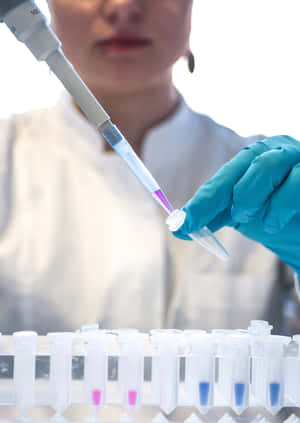 科學家在實驗室中用移液器將紫色液體注入試管
