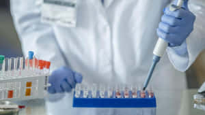 科學家在實驗室環境中用移液器處理試管。