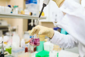 實驗室中，科學家將紫色液體用移液管加入燒杯中。