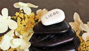 一堆深色石頭，其中有一塊白色石頭寫著'LIEBE'，夾雜在白色和黃色的花朵之間。 — 靈性動態圖 壁紙