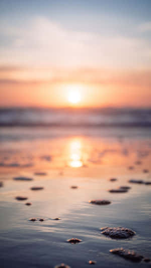 夕陽下的海洋，淺水和泡沫
