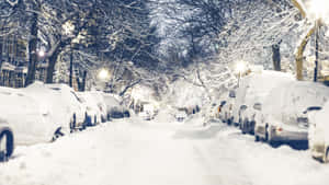 被雪覆蓋的汽車停泊在夜晚有明亮路燈的林蔭街道旁。
