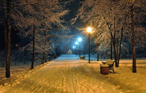 夜晚積雪的公園小徑，有長椅和發光的路燈。