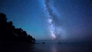 星空下黑暗海灘上的銀河系與樹木剪影 — 夜晚 GIF 壁紙