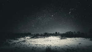 星空下帶有樹木剪影的雪地