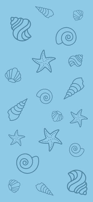 藍色背景上貝殼和海星的極簡線條藝術圖案。 — iPhone 16e 壁紙