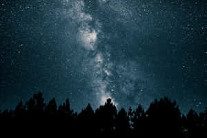 星空下，黑暗松樹剪影上方的銀河系 — 星星 壁紙