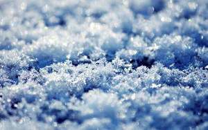 雪晶在陽光下閃爍的特寫，帶有藍白色調。