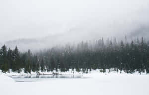 霧氣瀰漫的冬日森林中，被常綠樹環繞的雪覆蓋湖泊。