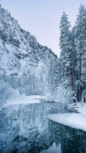 白雪覆蓋的松樹和山脈倒映在冬日寂靜的冰凍湖面上。