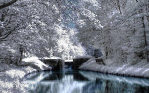 白雪覆蓋的森林，平靜的河流倒映著天空和一個石堰。 — 冬季 壁紙