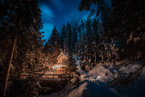 在冬夜森林中溫暖燈光下閃耀的雪覆蓋小屋。