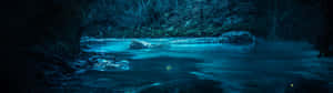 一條發光的藍色河流在夜晚流過黑暗的森林，有岩石和樹木。 — 32:9 壁紙