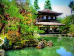 日本亭閣在寧靜的花園中，有池塘和長滿苔蘚的岩石