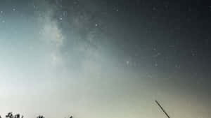 銀河系在繁星夜空下，在黑暗樹影上方發光。