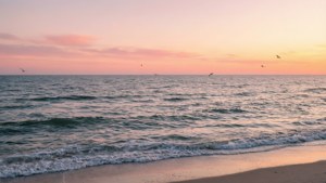 海洋上的夕陽，鳥兒飛翔，沙灘上溫柔的海浪