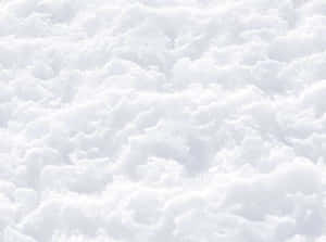特寫新鮮白雪覆蓋地面，質感柔軟。