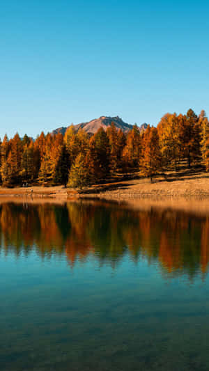 秋樹和山在清澈藍天下的平靜湖面中倒映 — 湖景 壁紙