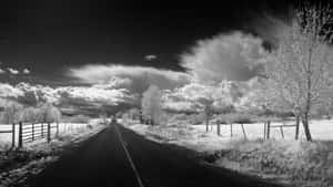 一條黑白紅外線鄉村道路，帶有籬笆和樹木，在戲劇性的雲層下。