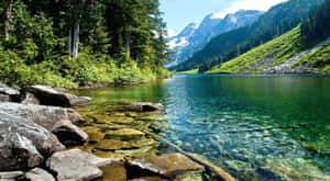 高山湖泊，湖水清澈，四周環繞著森林和雪山。 — 可愛春天 壁紙