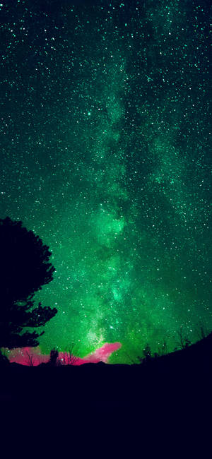夜晚，綠色星系和粉紅色星雲位於黑暗樹木剪影之上。