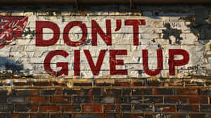 紅色塗鴉文字 don't give up 在風化的磚牆上，油漆剝落。 — 7680x4320 壁紙