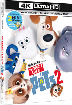 《Pet Pet 2》的封面藝術， featuring 動畫寵物。 — 電影 壁紙