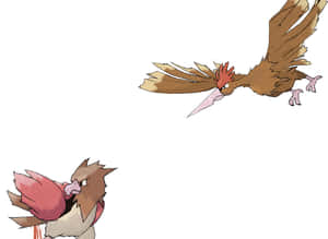 兩隻動漫風格鳥類寶可夢，一隻飛行，一隻站立，表情兇猛。
