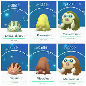 六張 Pokémon 遊戲卡牌，包含 ShinyNoLikey Piloswine 和 Mamoswine 在雪地冬季場景中，附有數值。 — 可愛寵物小精靈 壁紙