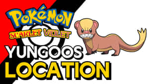 Yungoos Pokémon角色連遊戲標題文字。 — 卡通 壁紙