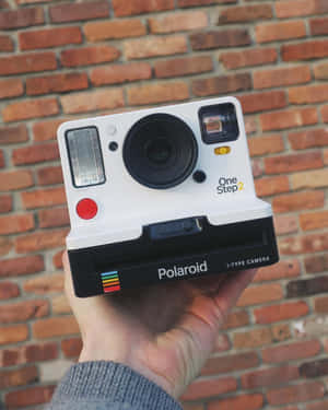 手拎住一部Polaroid One Step 2即影即有相機，前面係磚牆。
