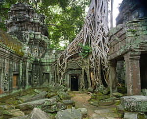 寺廟圖片 — 廟宇 壁紙