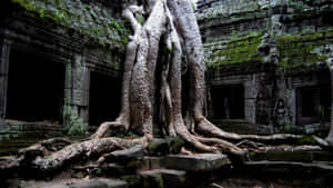 寺廟風景 — 廟宇 壁紙